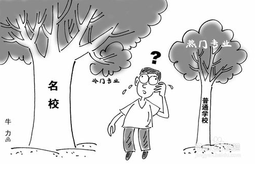 高考如何准确填报志愿