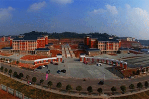 四川中医药高等专科学校俯视图