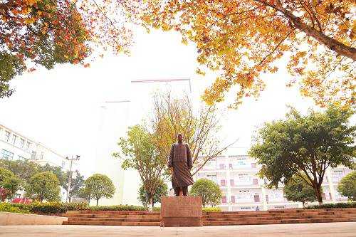 重庆市立信职业教育中心五年制大专的乘车路线