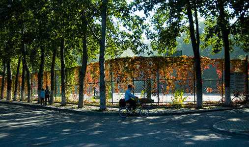 宜宾十大技校排名！四川宜宾比较好的职高学校