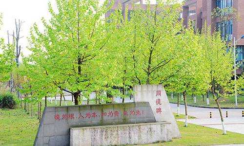 重庆机电职业技术学院地址在哪里