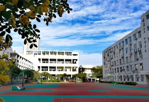 1645667500885913.png image.png