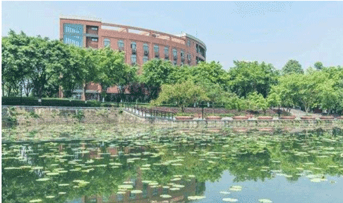 1646898386887989.png image.png