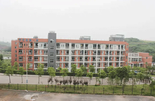 1647402497534892.png image.png