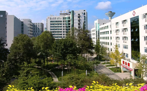 1648612183791730.png image.png