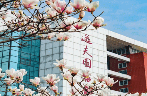 1648870319660991.png image.png